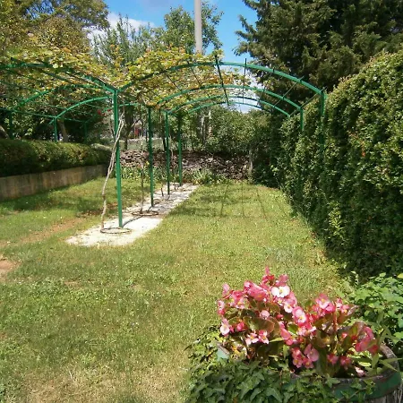 Cvetko.2